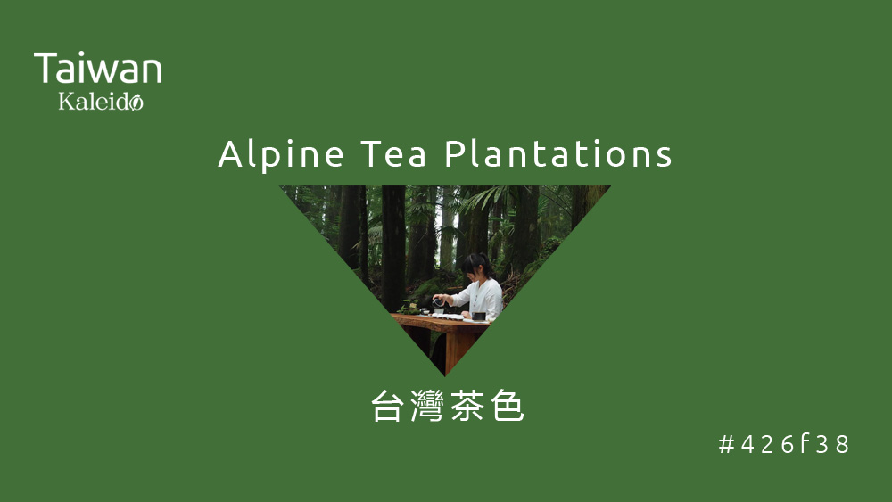 本週精選：台灣茶色 Alpine Tea Plantations  #426f38